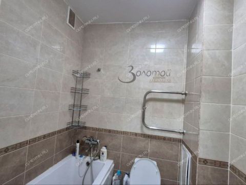 1-komnatnaya-derevnya-ankudinovka-kstovskiy-rayon фото