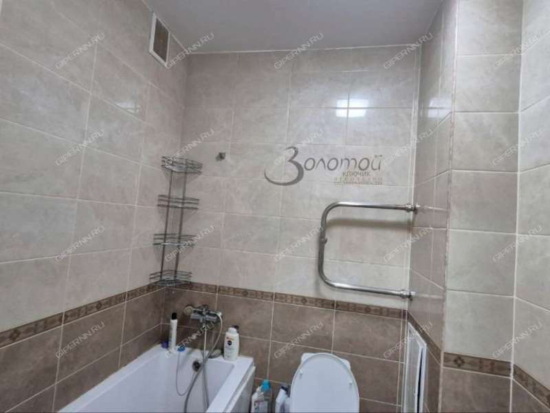 двухкомнатная квартира на Русской улице улице дом 9 деревня Анкудиновка