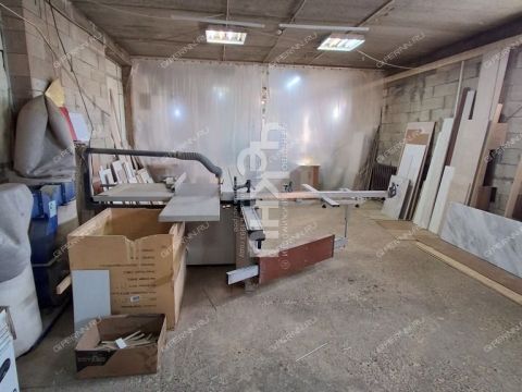 ul-zayceva-d-40a фото