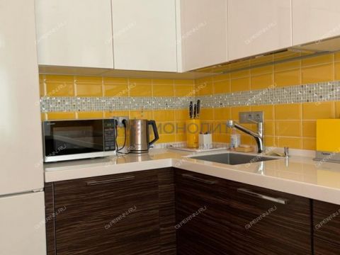 1-komnatnaya-ul-nizhne-pecherskaya-d-6 фото