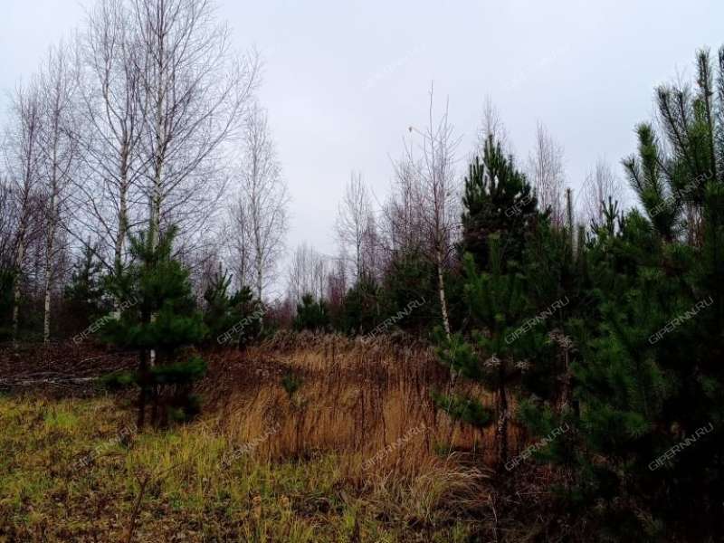 земельный участок 10 соток Ромашковая деревня Килелей