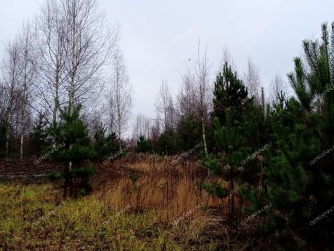 derevnya-kileley-bogorodskiy-municipalnyy-okrug фото