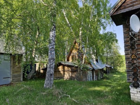 derevnya-filino-sokolskiy-gorodskoy-okrug фото