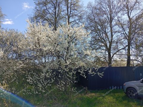 dacha-gorod-vorsma-pavlovskiy-municipalnyy-okrug фото
