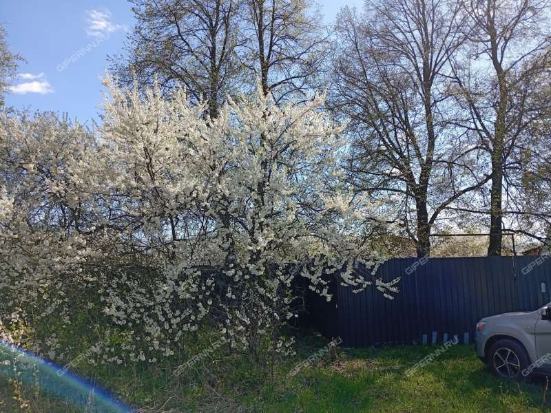 дача на улице Мира город Ворсма