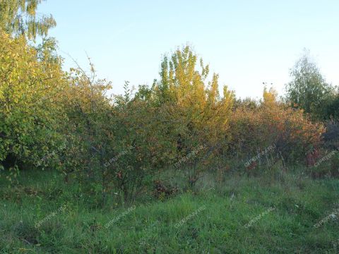 derevnya-kamenka-kstovskiy-rayon фото