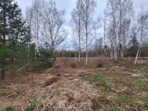 derevnya-bushnevo-gorodeckiy-rayon фото