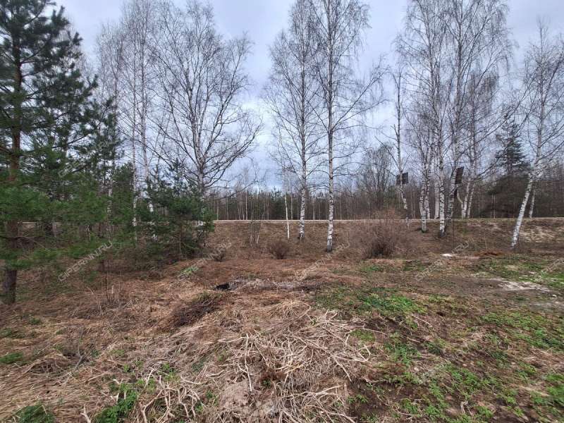 земельный участок 19,57 сотки - деревня Бушнёво