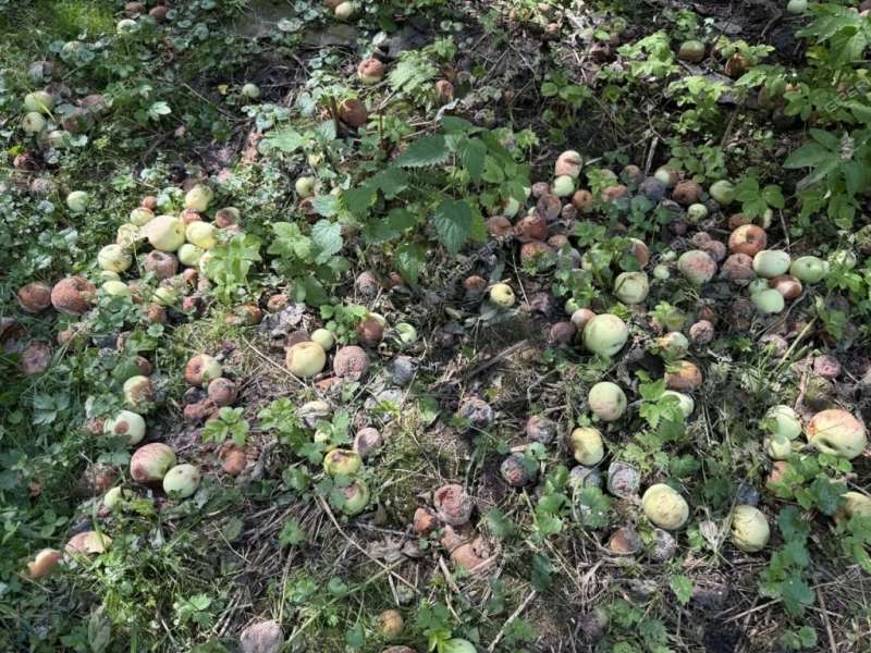 дом на  деревня Афанасьево