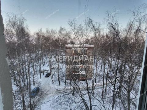 sh-moskovskoe-d-231 фото