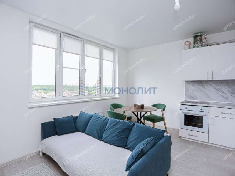 однокомнатная квартира на Черкесской улице дом 2 деревня Анкудиновка