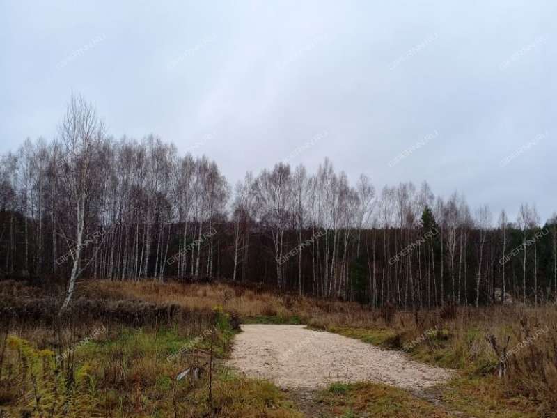 земельный участок 10 соток Ромашковая деревня Килелей