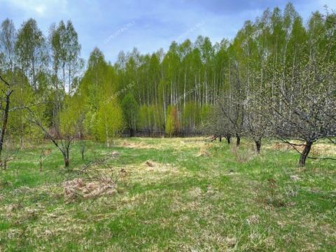 dom-selo-kamenka-vorotynskiy-gorodskoy-okrug фото
