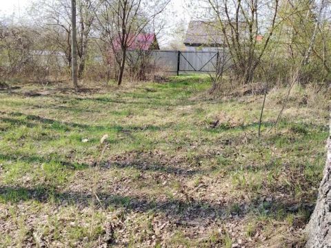 derevnya-zolotovo-gorodskoy-okrug-bor фото