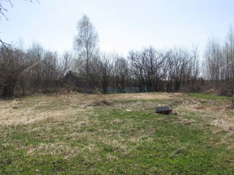 derevnya-burcevo-bogorodskiy-municipalnyy-okrug фото