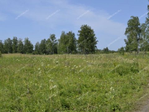 rabochiy-poselok-maloe-kozino-balahninskiy-municipalnyy-okrug фото