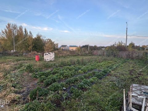 selo-bezvodnoe-kstovskiy-rayon фото