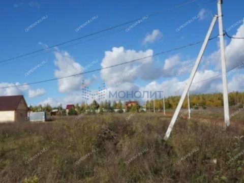 derevnya-inyutino-bogorodskiy-municipalnyy-okrug фото