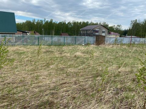 selo-efimevo-bogorodskiy-municipalnyy-okrug фото