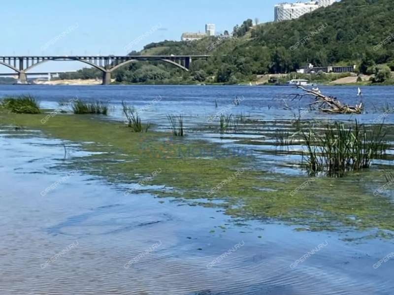 двухкомнатная квартира на Заводской улице дом 15 к3
