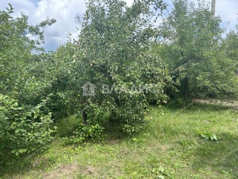 poselok-komsomolskiy-bogorodskiy-municipalnyy-okrug фото